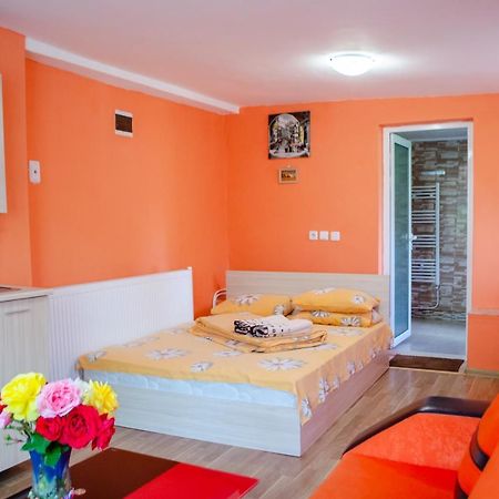 Danailovi Guest House Saparewa Banja Exterior foto