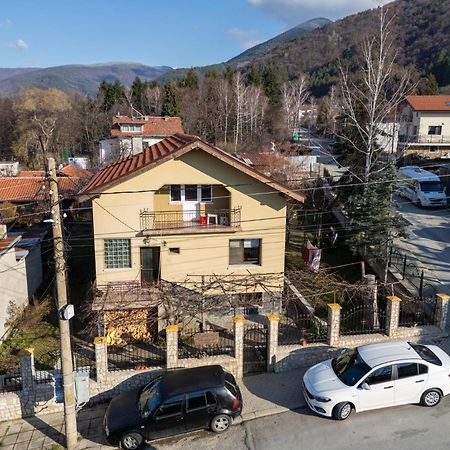 Danailovi Guest House Saparewa Banja Exterior foto
