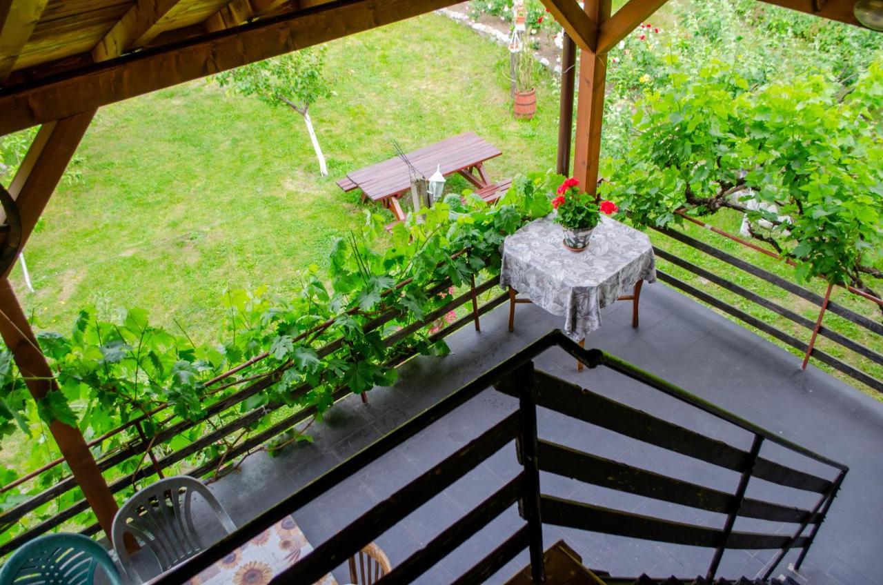 Danailovi Guest House Saparewa Banja Exterior foto